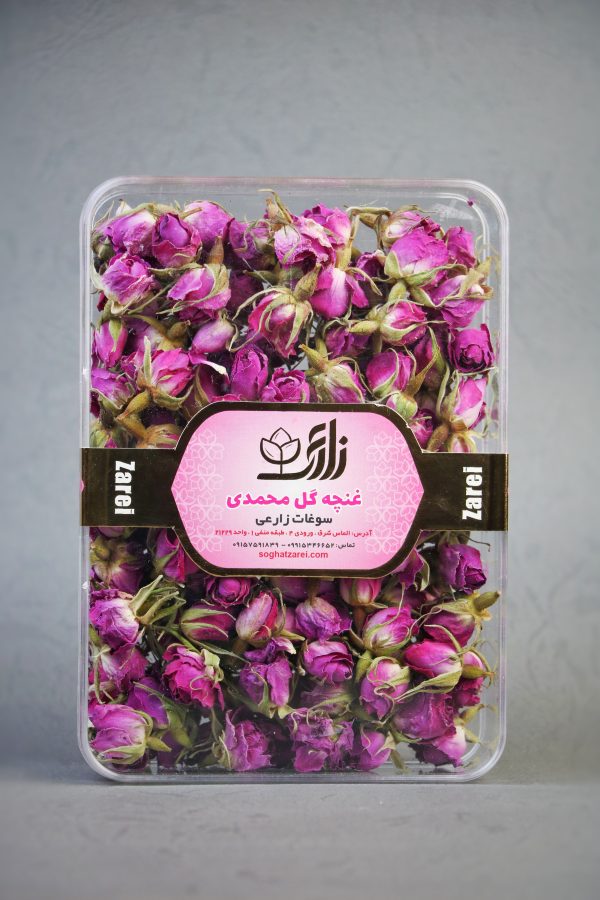 غنچه گل محمدی - تصویر 1