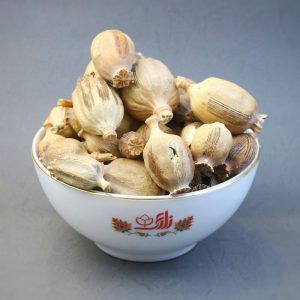 خرید قوزه خشخاش خشک و درشت (گرز خشخاش)